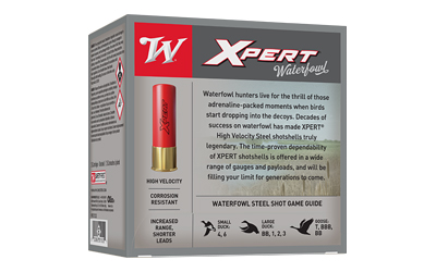 WNWEX124_2.jpg