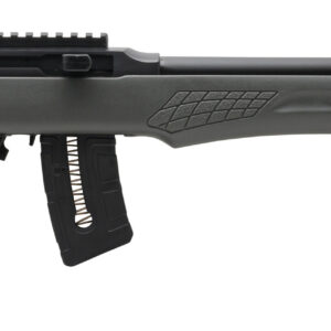 ROSSI RS22 22MAG BLK/GRAY 21" 10+1 #
