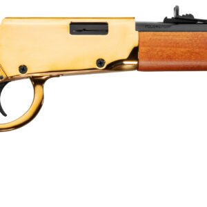 ROSSI RIO BRAVO 22LR GLD/WD 18"    #