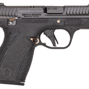 S&W BODYGRD 2.0 14660 380 TS RGPVD