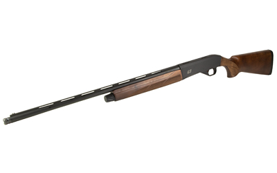 CZ06172_3.jpg