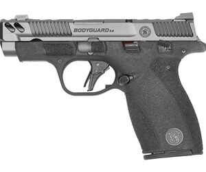 S&W BODYGRD 2 CC 380ACP 3.1" TS CA