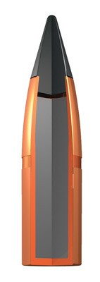 ax7ds_bullet_1.jpg