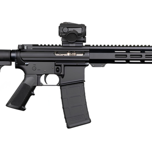 DPMS SHORTACLE 300BLK PISTOL 10.5" BBL, 9.5" MLOK RAIL, CAR15 BRACE 1-30RD MAG W/ VORTX SPARC